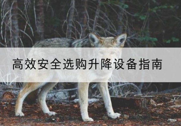 柯城升降货梯厂家推荐-*安全选购升降设备指南