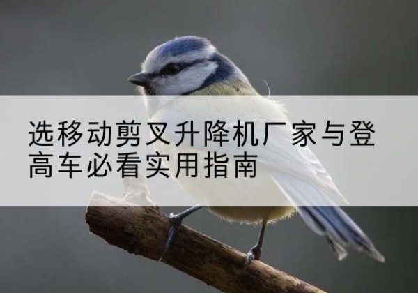 柯城电动升降机厂家-选移动剪叉升降机厂家与登高车必看实用指南